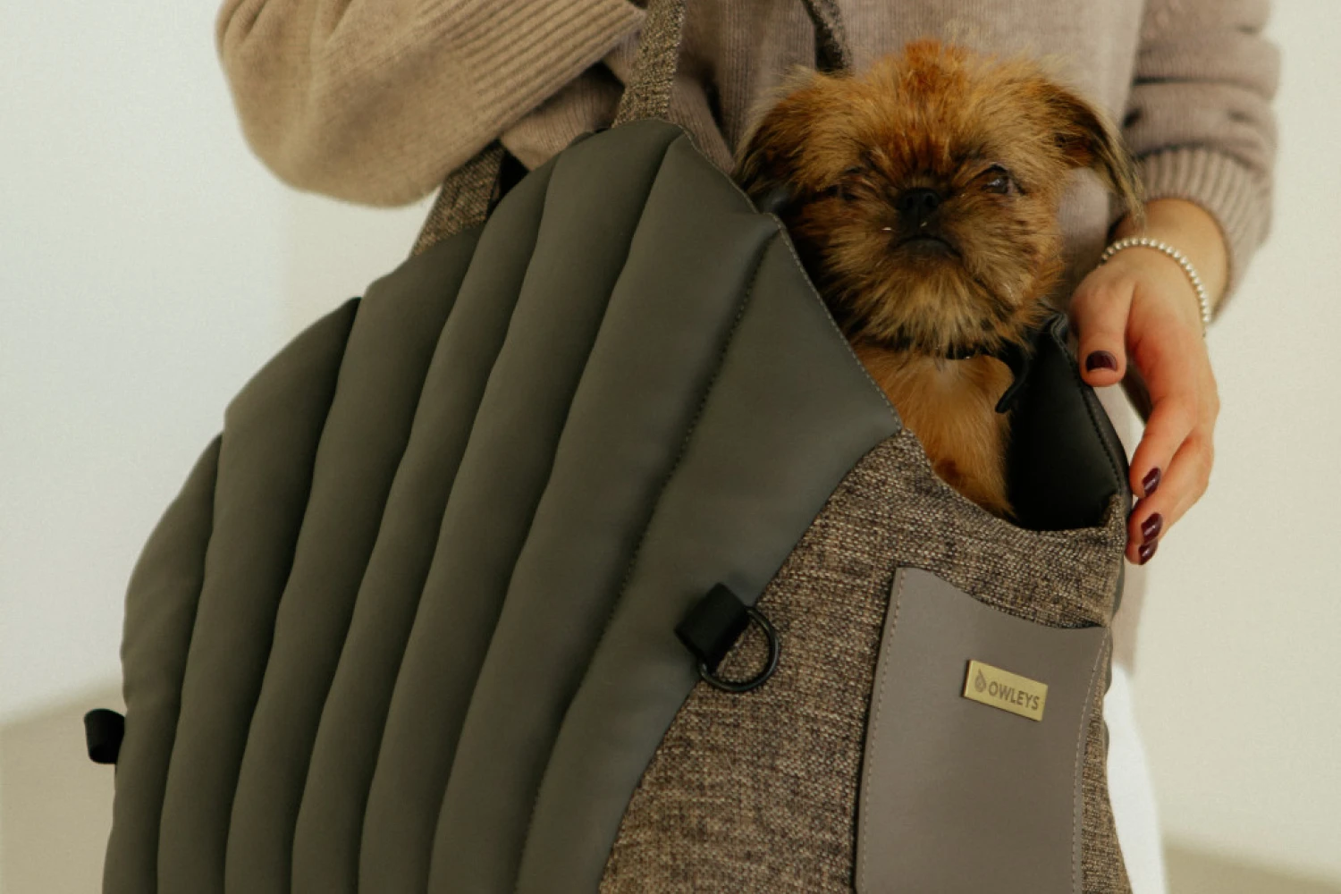 Dog Carrier Purse for Brussels Griffon